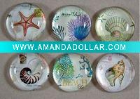 customized glass magnets