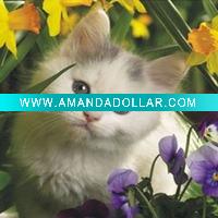 Wholesale 3D lenticular printing service