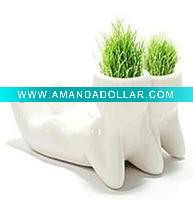 Wholesale Mini grass toys/grow grass toy/grass gift