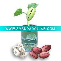 Wholesale Can Plant of Message Bean