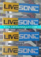 Wholesale 2011 new fashion epoxy label
