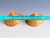 Wholesale Natural Sea Shell conch craft -- Aquarium decoration
