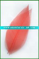 Wholesale beautiful window decoration magnolia skeleton leaves