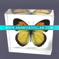 Butterfly decoration