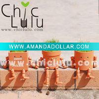 Wholesale magic plant
