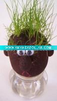Wholesale plant craft
