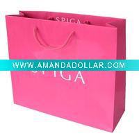 2011 Popular and Elegant paper bag