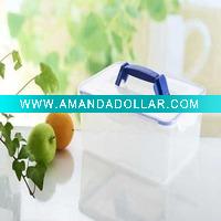 transparent food container
