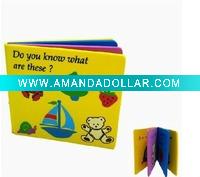 EVA Educational Book