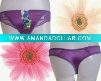 Sexy ladies' briefs