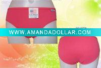 Sexy ladies' briefs