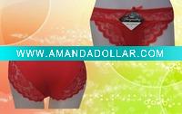 Ladies Brief