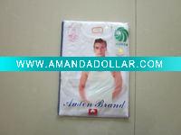 AUDEN man vest