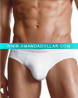 men's briefs