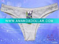 woman undergarment clothing grils knickers intimates bustiers