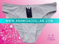 underpants womens knickers undies intimates bustiers