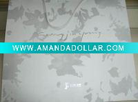 Wholesale Paper garment bag