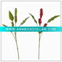 Wholesale Hedychium coronarium BT02L36