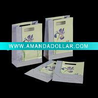 SW Shopping Paper Bag