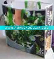 NON WOVEN BAG WITH LAMINATION