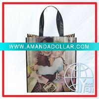Wholesale delicate pp non woven shopping Bag (ENV-PNV002)