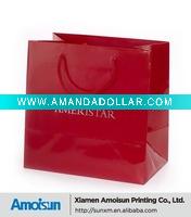Wholesale shopping paper bag with pp rope
