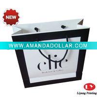 Wholesale 2011 Luxurious Paper Gift bag
