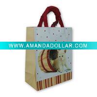 Promotional Paper bag