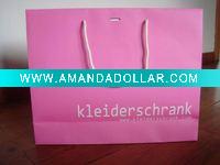 Wholesale 2011Newly paper bag for Garment