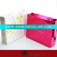 Wholesale 2011 trendy gift bag