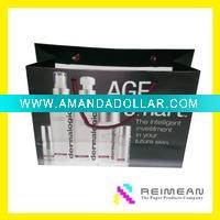 Wholesale 2010 REIMEAN fashion laminated cosmetic paper bag