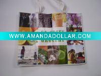 PP Non-woven shopping bag