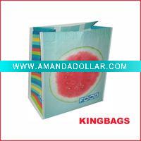 Wholesale Non Woven Polypropylene Bag