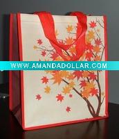 non-woven bag JS-EC 05