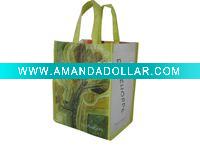 Reusable Shopping Non Woven Bag