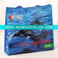 Hot promotional bag(CL-B017)