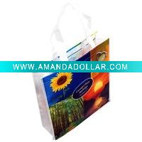 PP Non-woven bag