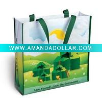 pp woven shopping bag