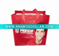 2010 PP woven bag