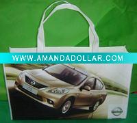 Wholesale fashional and useful pp non woven bag