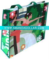 Wholesale 2011 Hot selling PP Non woven Shopping Bag