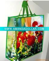 Wholesale Sell Pp woven Shopping Bag