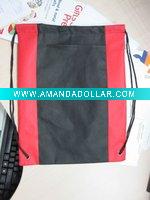 2010 New Backpack Carrier Bag