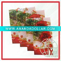 PP shopping bag (ENV-PPB022)