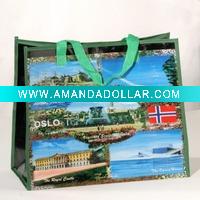 PP Woven Shopping Bag