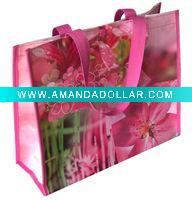 2010 new PP Woven Shopping Bag (JS-WSB1016)