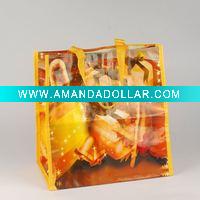 pp woven gift bag (shopping bag)