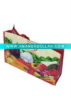Wholesale 2011 Promotional pp woven bags