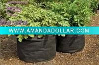 PP Grow Bags