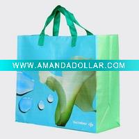 2010 pp woven shopping bag
